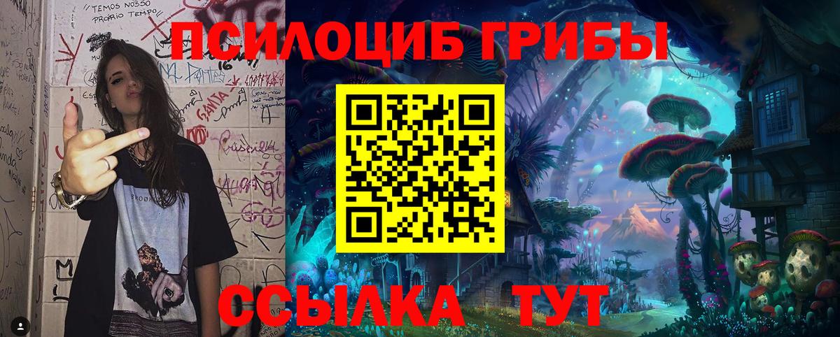 Галлюциногенные грибы MAGIC MUSHROOMS  Вход с VPN  Россошь  Галлюциногенные грибы Psilocybe 